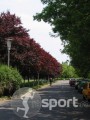 Parcul Univ. Politehnica Bucuresti - alergare in Bucuresti | faSport.ro