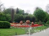 tura de alergare Parcul Cismigiu - alergare in Bucuresti | faSport.ro