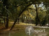 Parcul Kiseleff - alergare in Bucuresti | faSport.ro