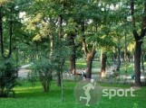 Parcul Kiseleff - alergare in Bucuresti | faSport.ro