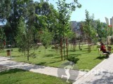Parcul Pacii - alergare in Bucuresti | faSport.ro