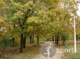 Parcul Pantelimon - alergare in Bucuresti | faSport.ro