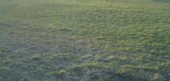 Stadion Grivita (Parcul Copilului) - alergare in Bucuresti