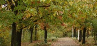 Parcul Pantelimon - alergare in Bucuresti