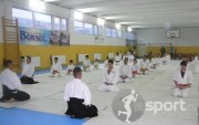Clubul Sportiv Aktiv - arte-martiale in Bucuresti | faSport.ro