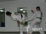 Best Taekwondo WTF - arte-martiale in Bucuresti | faSport.ro