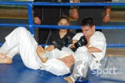 SAKURA DOJO TULCEA - arte-martiale in Tulcea | faSport.ro