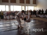A.S. Seishi Budo - arte-martiale in Arad | faSport.ro