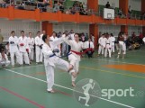 Club Sportiv White Tigers Karate Cluj - arte-martiale in Cluj-Napoca | faSport.ro