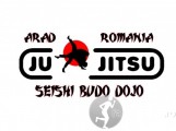 A.S. Seishi Budo - arte-martiale in Arad | faSport.ro