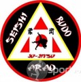 A.S. Seishi Budo - arte-martiale in Arad | faSport.ro