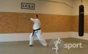 Club Goshin-Ryu - arte-martiale in Ploiesti | faSport.ro