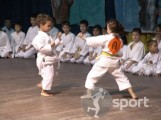 Palatul Copiilor Cluj - arte-martiale in Cluj-Napoca | faSport.ro