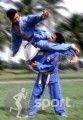 Vovinam Viet Vo Dao - arte-martiale in Vaslui | faSport.ro