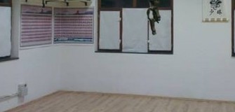 Shaolin WU SHU - arte-martiale in Timisoara