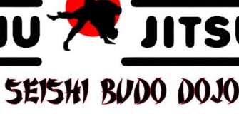 A.S. Seishi Budo - arte-martiale in Arad