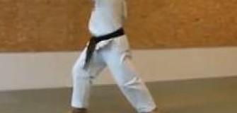 Club Goshin-Ryu - arte-martiale in Ploiesti
