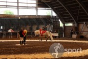 Asociatia Sportiva Galopp - echitatie in Satu-Mare | faSport.ro
