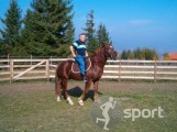 Echitaţie Topliţa - echitatie in Toplita | faSport.ro