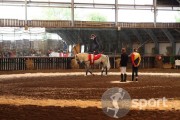 Asociatia Sportiva Galopp - echitatie in Satu-Mare | faSport.ro