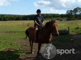 Pensiunea Cabana 3 Stejari - echitatie in Rupea | faSport.ro