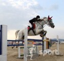 Sport Horse - echitatie in Campina | faSport.ro
