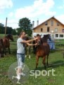 Pensiunea Cabana 3 Stejari - echitatie in Rupea | faSport.ro