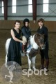 Clubul privat ARKADIA HORSE - echitatie in Snagov | faSport.ro