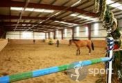 Clubul privat ARKADIA HORSE - echitatie in Snagov | faSport.ro