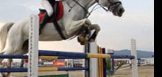 Sport Horse - echitatie in Campina
