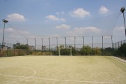 Daimon Sport Club - fotbal in Bucuresti | faSport.ro