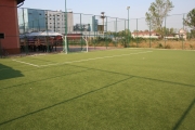 Molson Sport Center - fotbal in Bucuresti | faSport.ro
